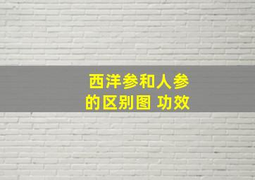 西洋参和人参的区别图 功效